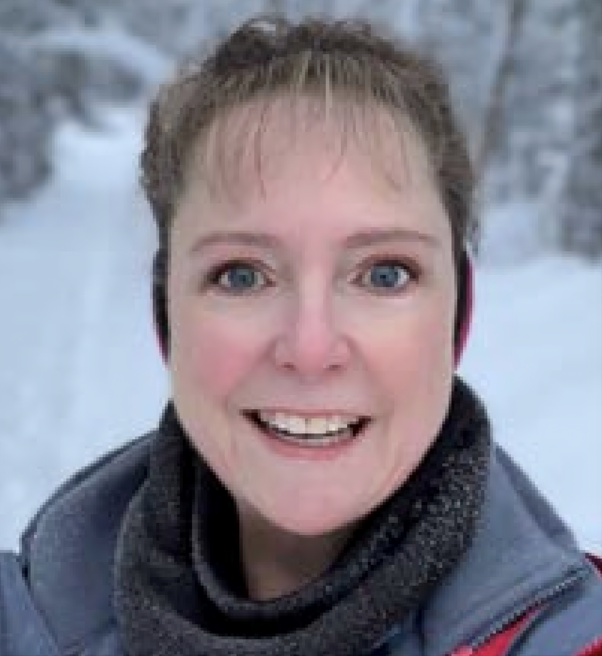 Melissa Jean, District 32 Director